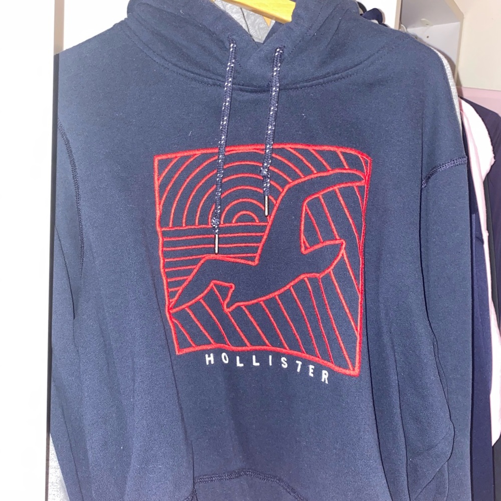 HOLLISTER SWEATSHIRT SIZE LARGE